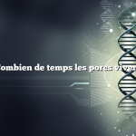 Combien de temps les porcs vivent