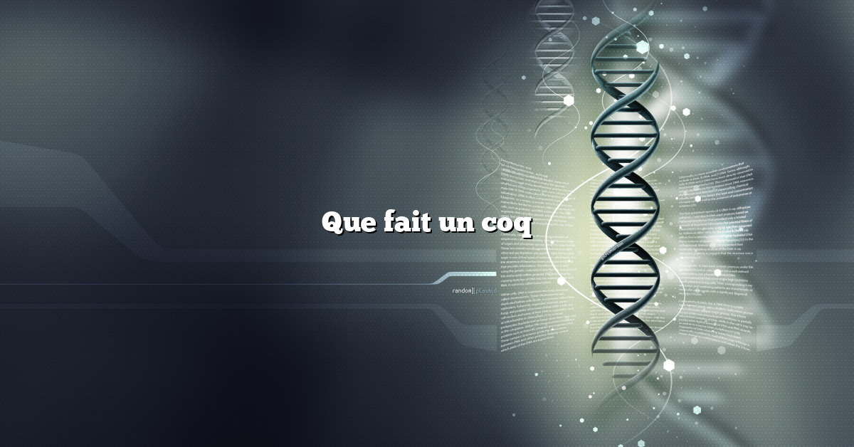 Que fait un coq