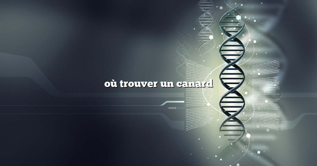 où trouver un canard
