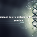 À quelle fréquence dois-je utiliser de la mélasse sur mes plantes