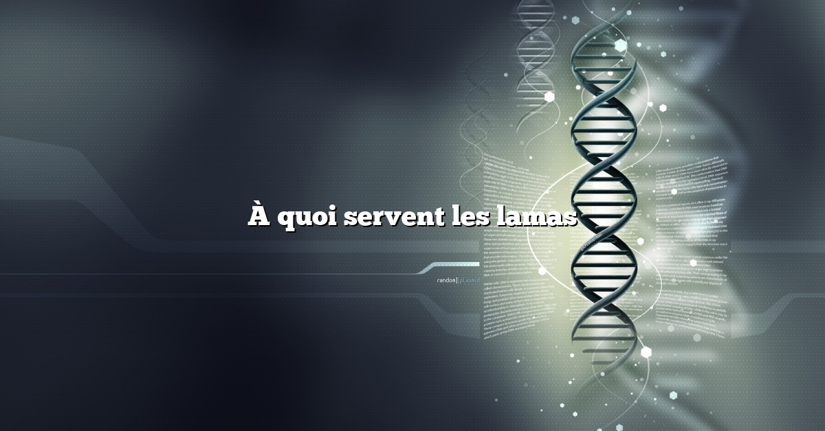 À quoi servent les lamas