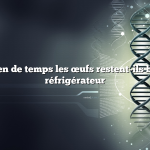Combien de temps les œufs restent-ils bons au réfrigérateur