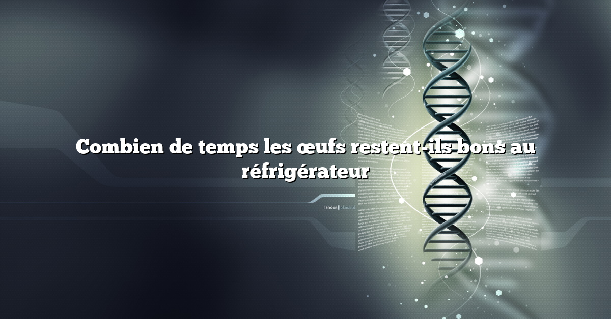 Combien de temps les œufs restent-ils bons au réfrigérateur