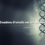 Combien d’orteils ont les poulets