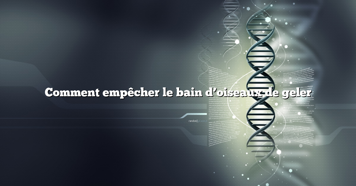 Comment empêcher le bain d’oiseaux de geler