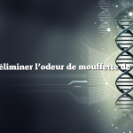 Comment éliminer l’odeur de mouffette de mon chien