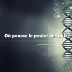 Où pousse le poulet des bois