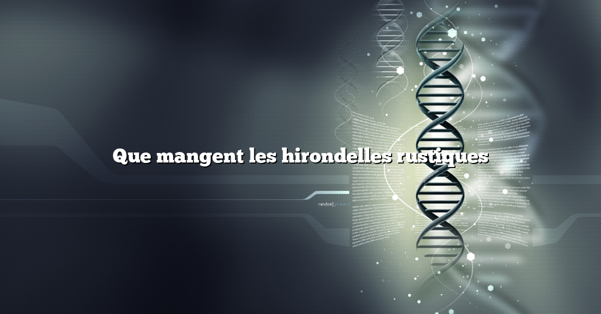 Que mangent les hirondelles rustiques