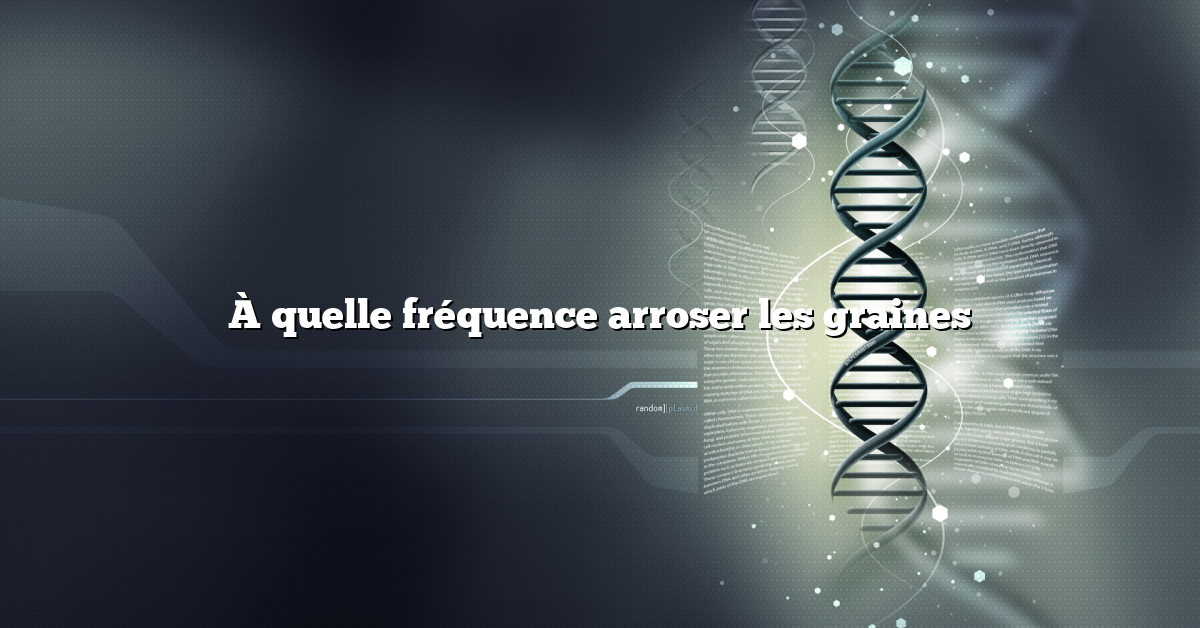 À quelle fréquence arroser les graines
