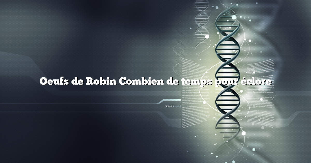 Oeufs de Robin Combien de temps pour éclore