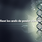 Que signifient les œufs de poules élevées en liberté