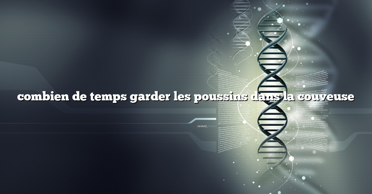 combien de temps garder les poussins dans la couveuse