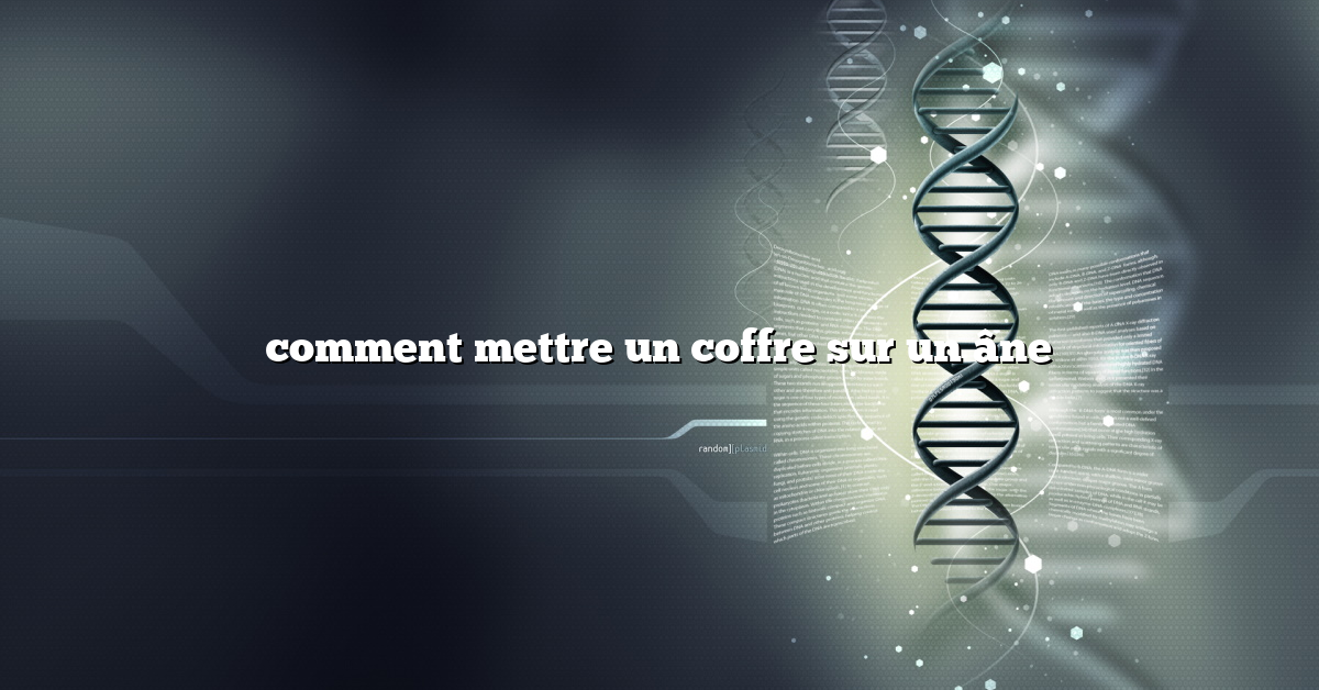 comment mettre un coffre sur un âne