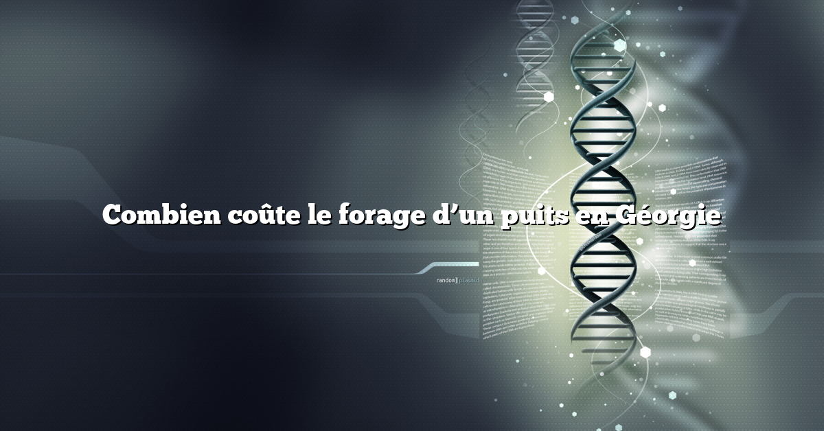 Combien coûte le forage d’un puits en Géorgie