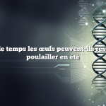 Combien de temps les œufs peuvent-ils rester dans le poulailler en été