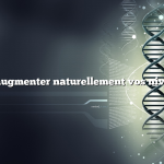 Comment augmenter naturellement vos niveaux d’Igg