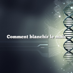 Comment blanchir le maïs