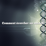 Comment écorcher un animal