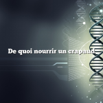 De quoi nourrir un crapaud