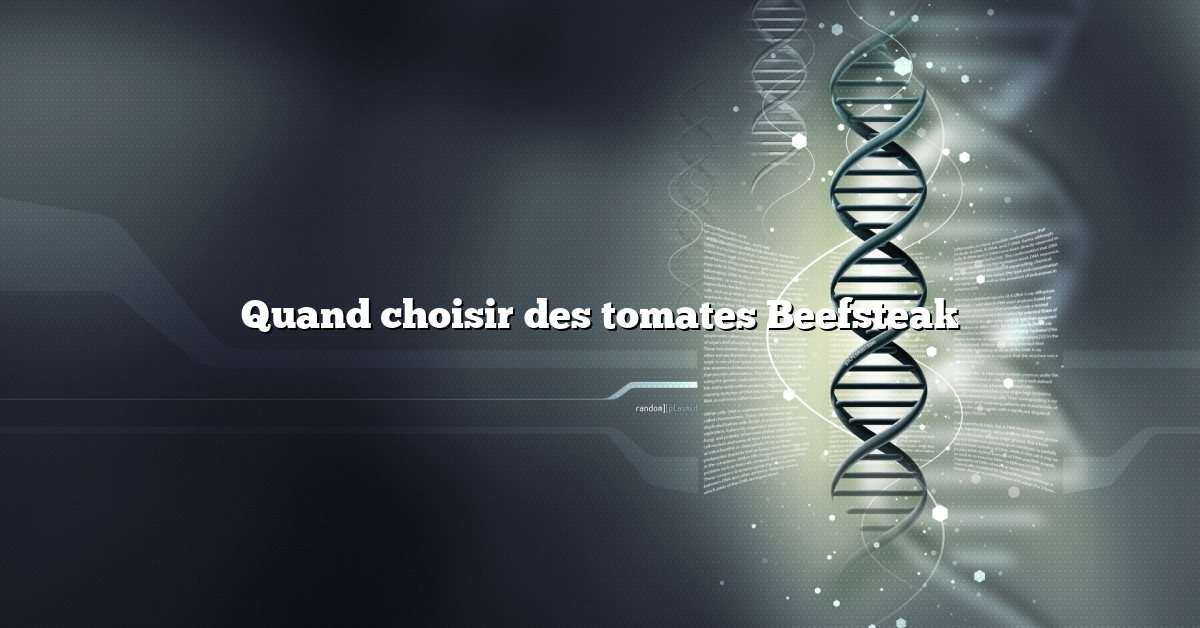 Quand choisir des tomates Beefsteak