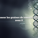 Quand commencer les graines de tomates à l’intérieur de la zone 6