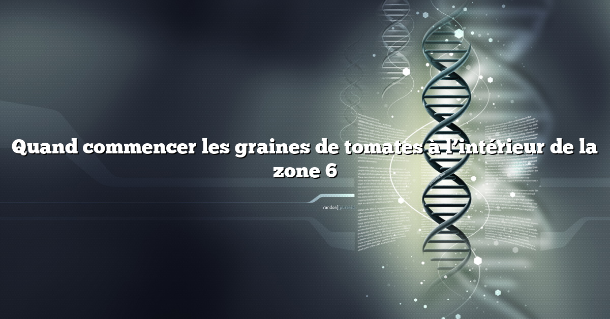 Quand commencer les graines de tomates à l’intérieur de la zone 6