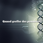 Quand greffer des pommiers