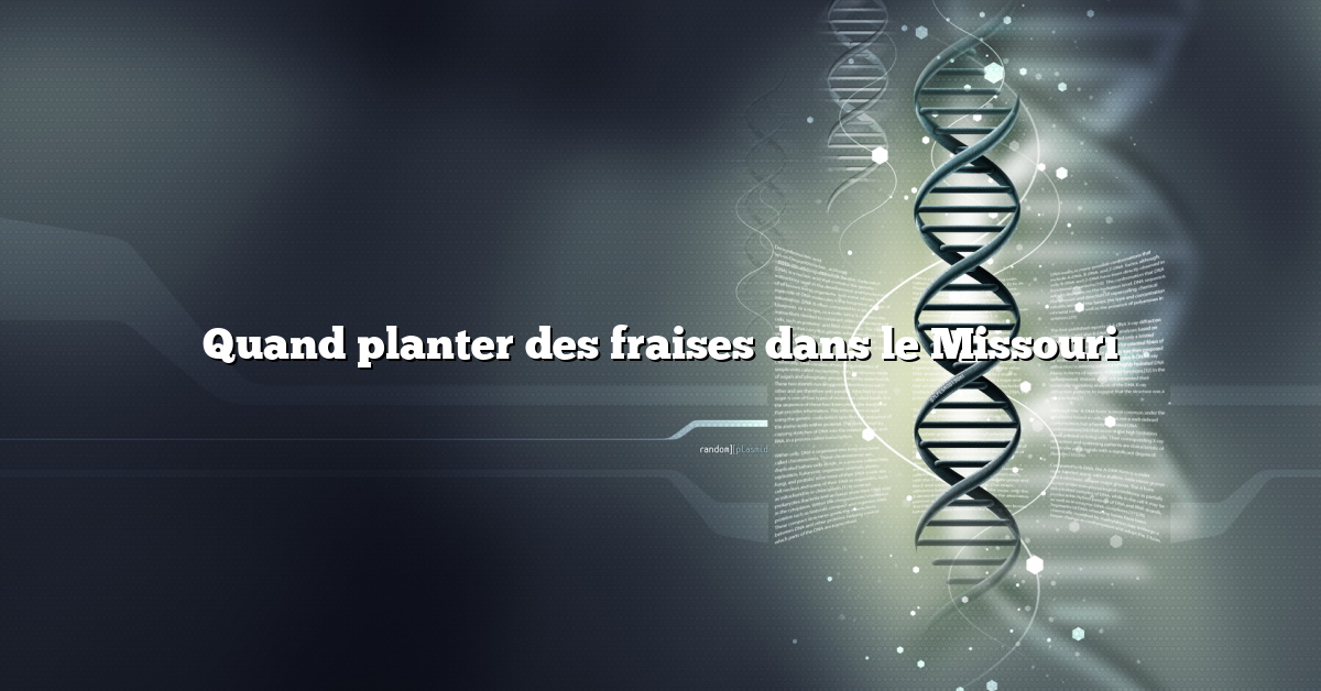 Quand planter des fraises dans le Missouri