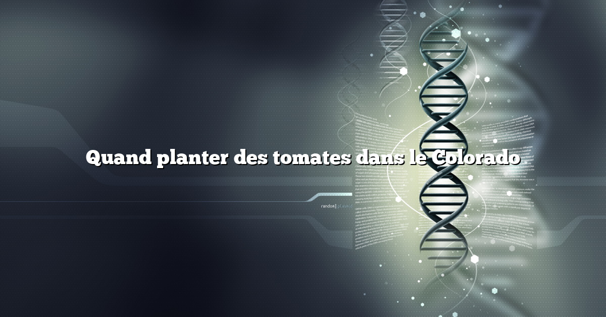 Quand planter des tomates dans le Colorado