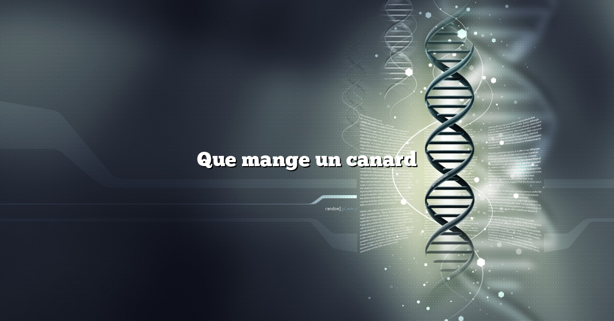 Que mange un canard