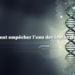 comment empêcher l’eau des lapins de geler