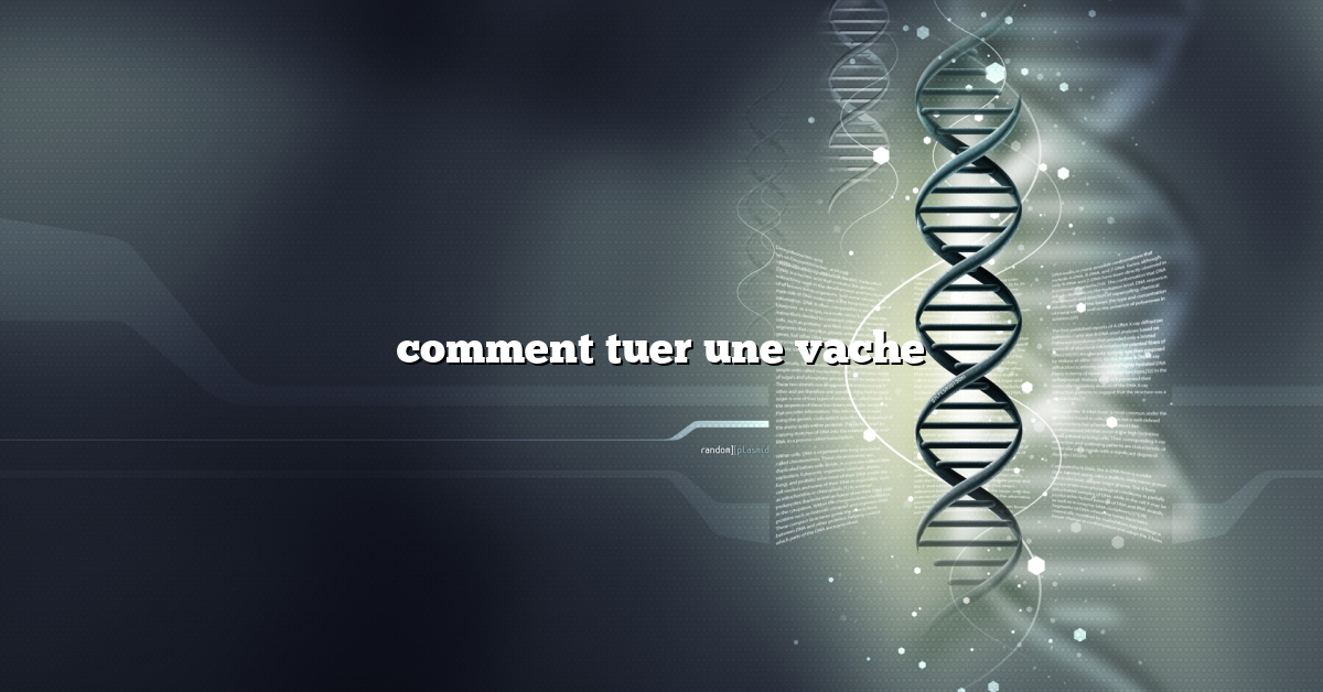 comment tuer une vache