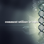 comment utiliser le lapin