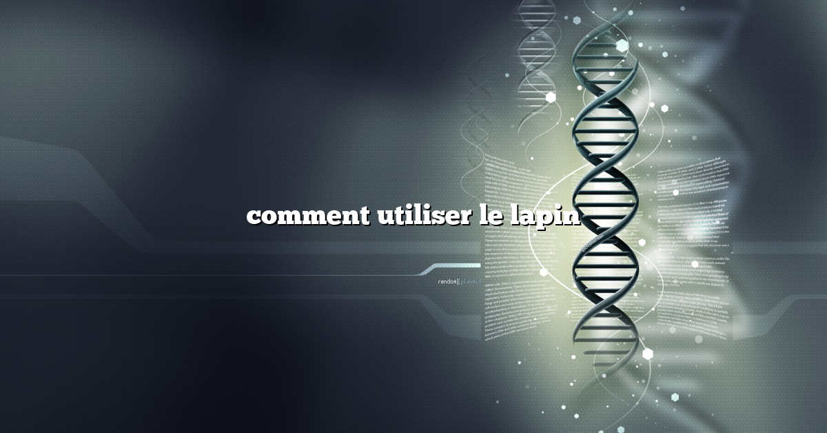 comment utiliser le lapin