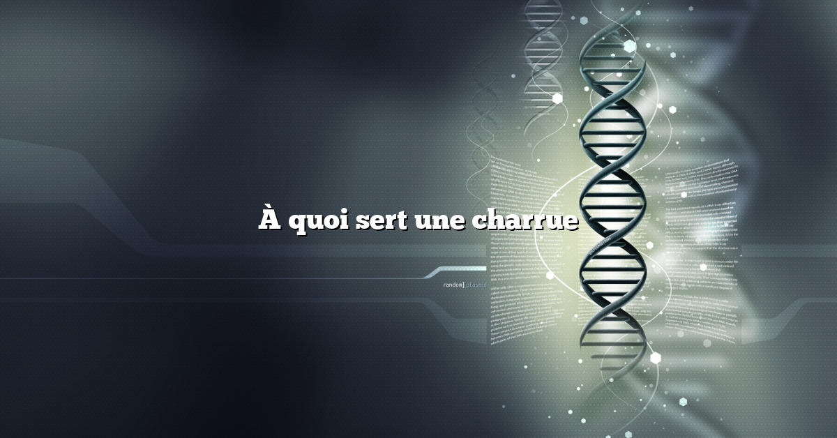 À quoi sert une charrue