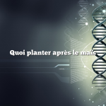 Quoi planter après le maïs