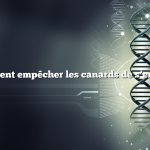 comment empêcher les canards de s’envoler