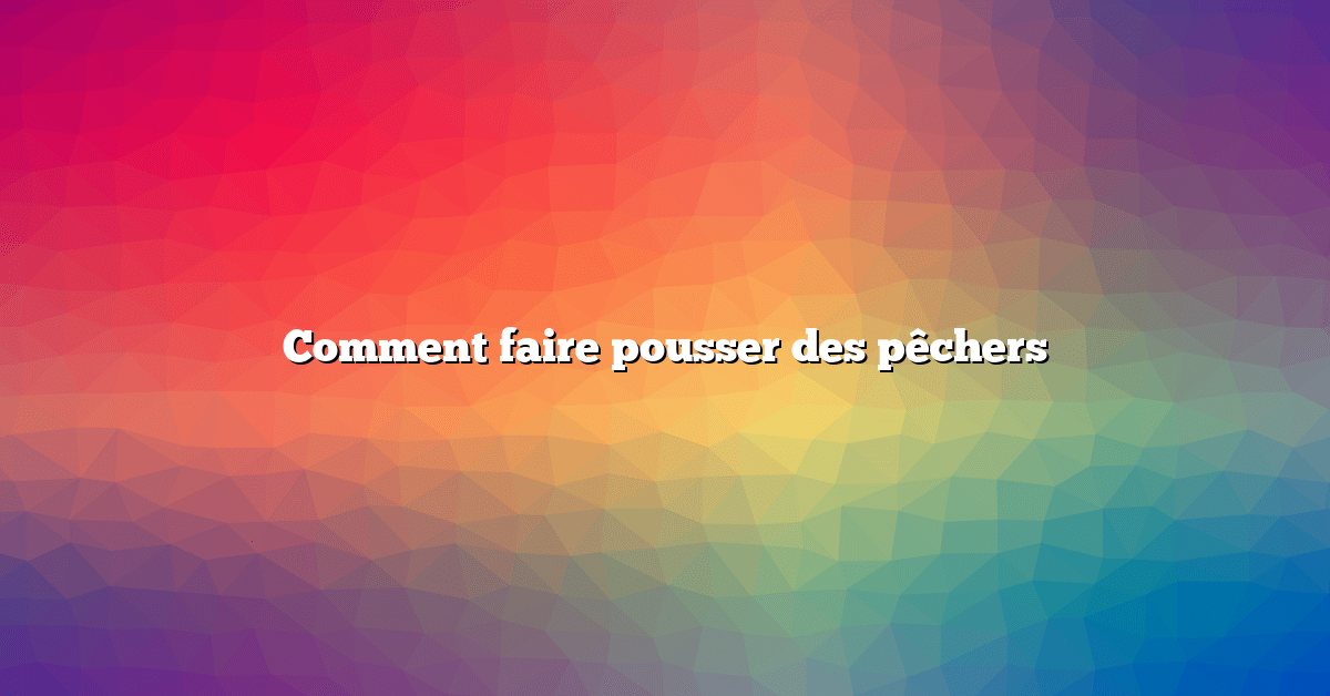 Comment faire pousser des pêchers