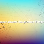 comment planter des graines d’asperges
