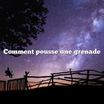 Comment pousse une grenade