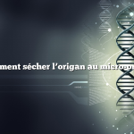 comment sécher l’origan au micro-ondes