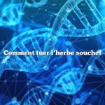 Comment tuer l’herbe souchet