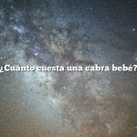 ¿Cuánto cuesta una cabra bebé?