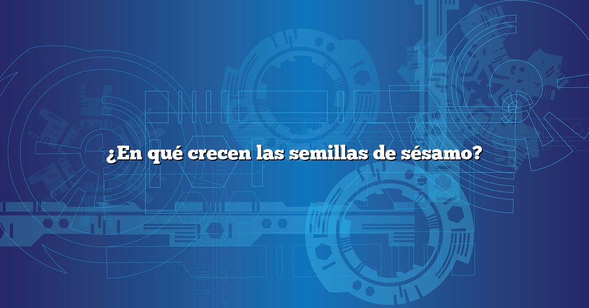 ¿En qué crecen las semillas de sésamo?