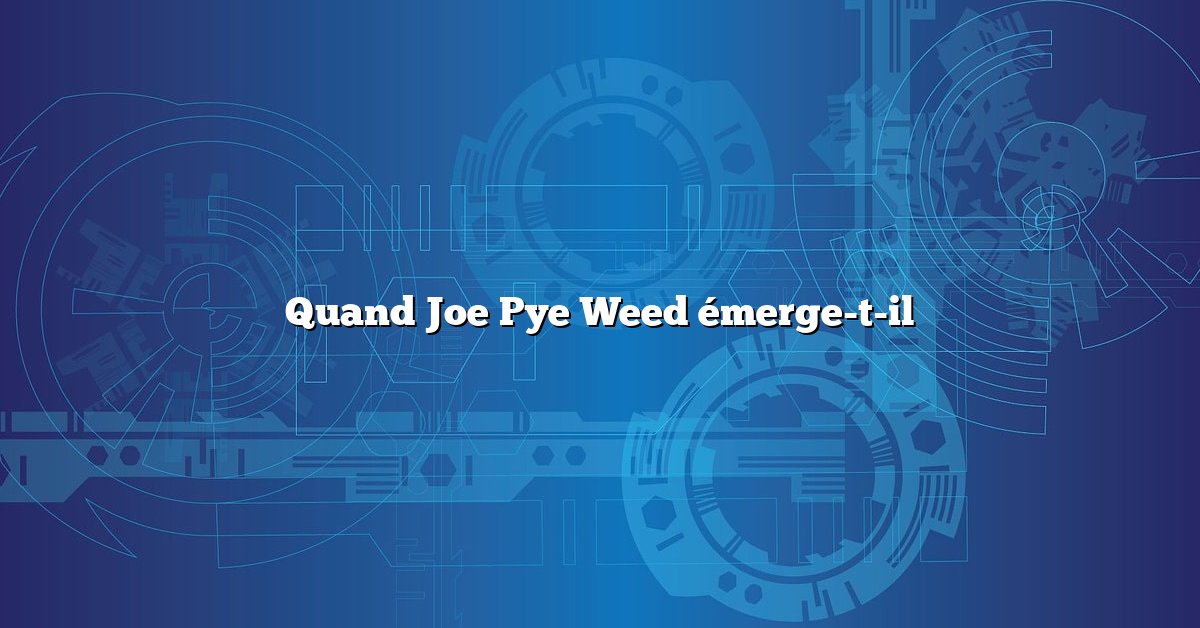 Quand Joe Pye Weed émerge-t-il