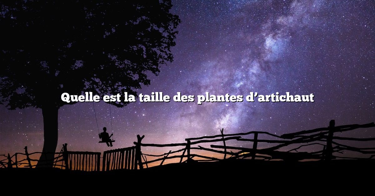 Quelle est la taille des plantes d’artichaut