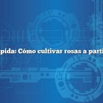 Respuesta rápida: Cómo cultivar rosas a partir de semillas