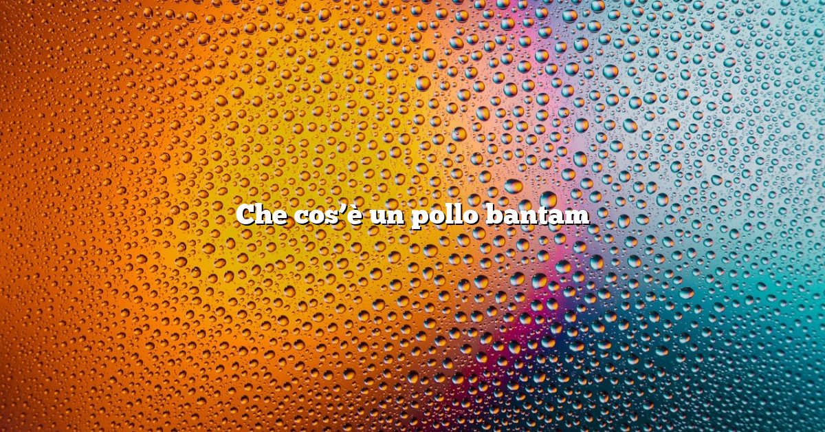 Che cos’è un pollo bantam