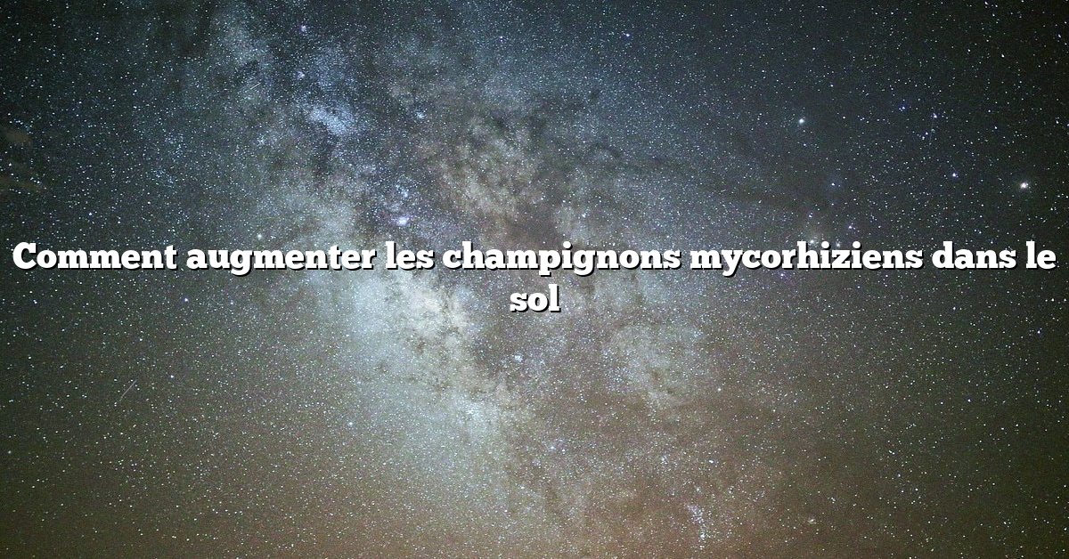 Comment augmenter les champignons mycorhiziens dans le sol