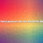 Comment faire pousser de la ciboulette dans un pot